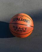 React TF-250 Indoor-Outdoor Basketball 